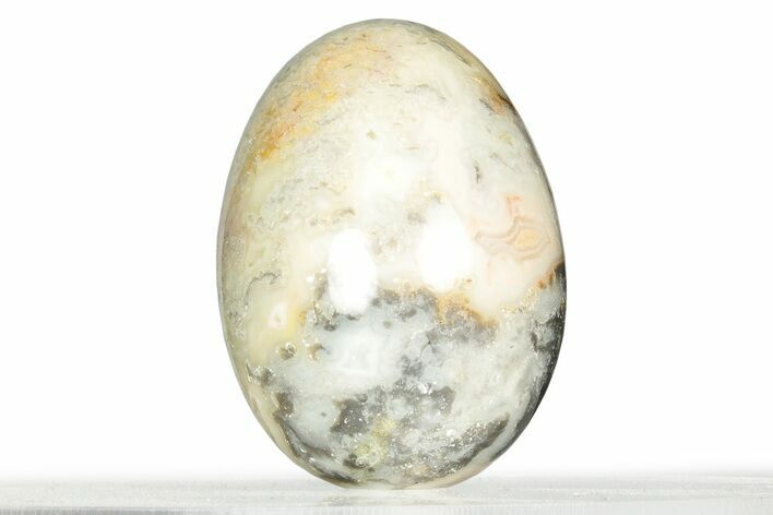 Polished Crazy Lace Agate Egg - Mexico #326816